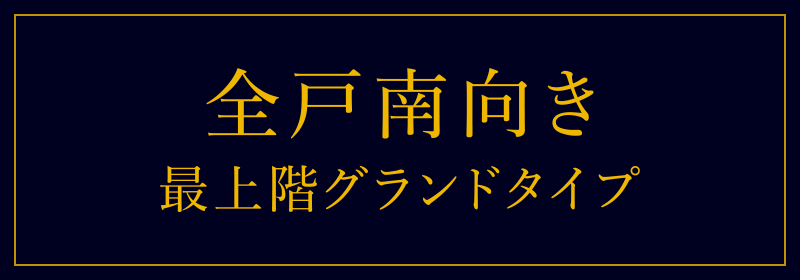 全戸南向き 最上階グランドタイプ
